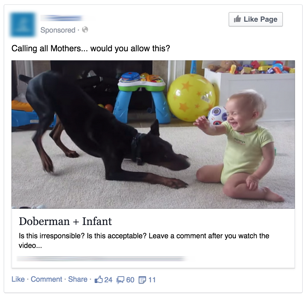 Doberman