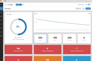 Site Audit