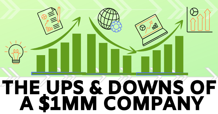 The Ups & Downs Of A $1MM Company